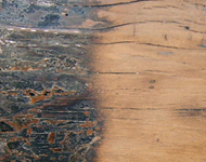 Stripping and cleaning a wooden beam.